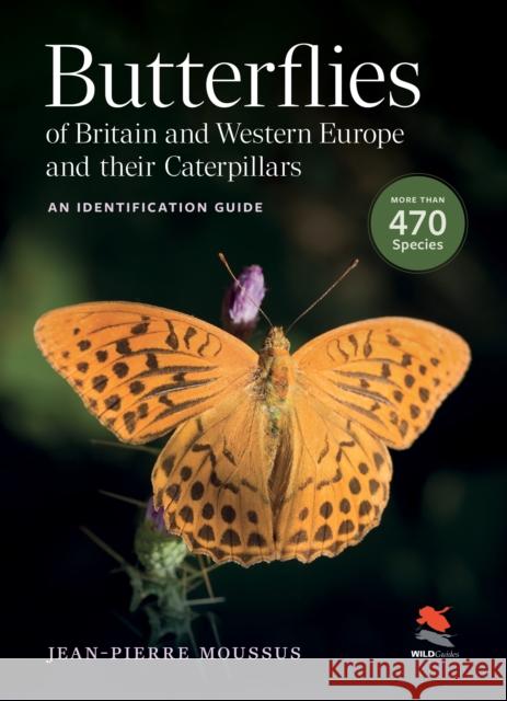 Butterflies of Britain and Western Europe and Their Caterpillars: An Identification Guide Jean-Pierre Moussus 9780691271798 Princeton University Press - książka