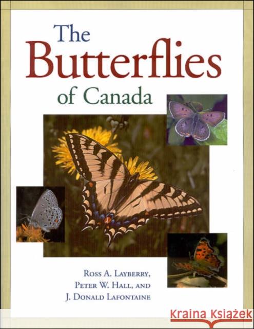 Butterflies of Canada Layberry, Ross 9780802078810 University of Toronto Press - książka