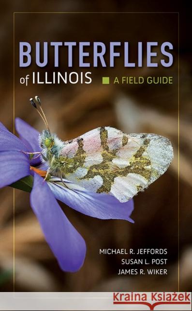 Butterflies of Illinois: A Field Guide Michael Jeffords Susan Post James R. Wiker 9780252084461 ILlinois Natural History Survey - książka