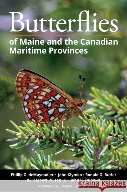 Butterflies of Maine and the Canadian Maritime Provinces Phillip G. Demaynadier John Klymko Ronald G. Butler 9781501768941 Cornell University Press - książka