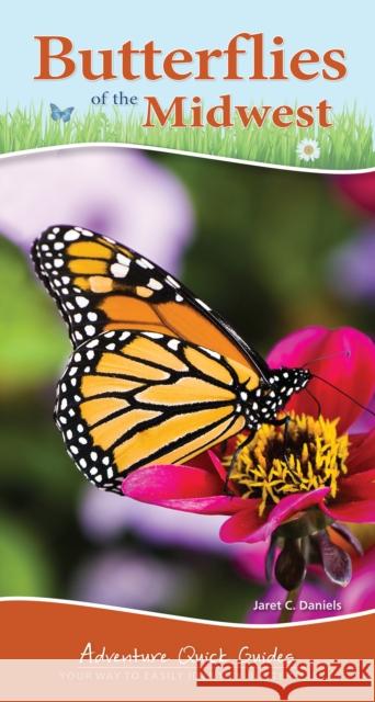 Butterflies of the Midwest: Identify Butterflies with Ease Daniels, Jaret C. 9781591935209 Adventure Publications(MN) - książka