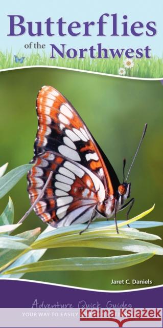 Butterflies of the Northwest: Your Way to Easily Identify Butterflies Daniels, Jaret C. 9781591939375 Adventure Publications - książka