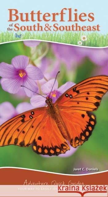 Butterflies of the South & Southeast: Your Way to Easily Identify Butterflies Jaret C. Daniels 9781647552138 Adventure Publications - książka