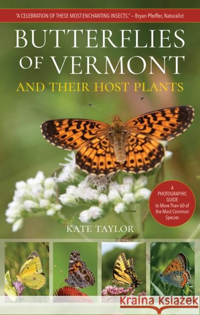 Butterflies of Vermont Kate Taylor 9781646013098 Four-In-Hand Press - książka