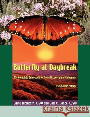 Butterfly At Daybreak McIntosh, Ginny 9781421899022 1st World Library - książka