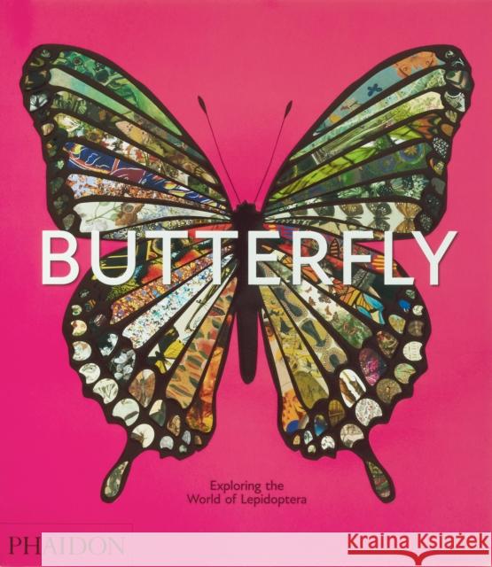 Butterfly: Exploring the World of Lepidoptera Phaidon Editors 9781838669379 Phaidon Press - książka