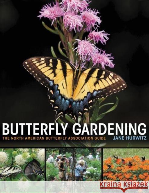 Butterfly Gardening: The North American Butterfly Association Guide Jane Hurwitz 9780691170343 Princeton University Press - książka