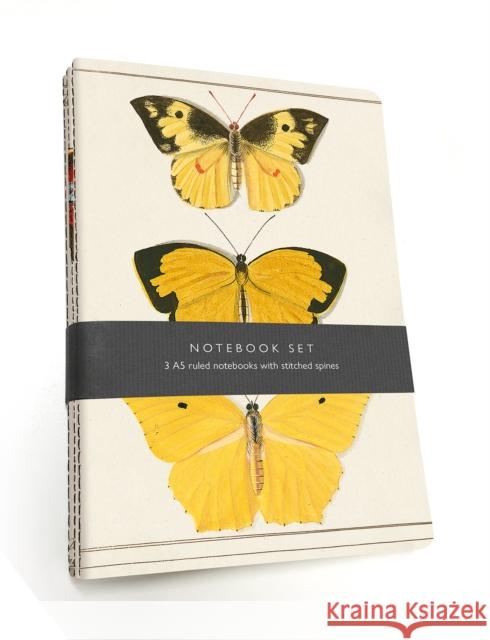 Butterfly Notebook Set: 3 A5 lined notebooks with stitched spines  9781851245413 Bodleian Library - książka