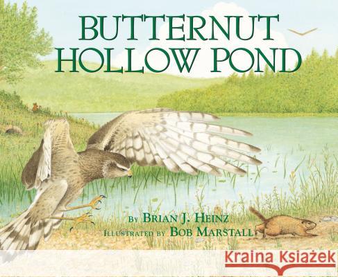 Butternut Hollow Pond Brian J. Heinz 9780822559931 First Avenue Editions - książka