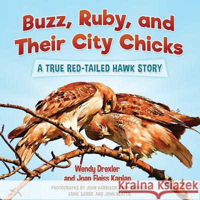 Buzz, Ruby, and Their City Chicks: A True Red-Tailed Hawk Story Wendy Drexler Joan Fleiss Kaplan John Harrison 9780996374743 Ziggy Owl Press - książka