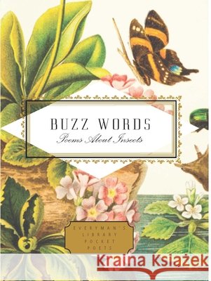 Buzz Words: Poems About Insects  9781841598215 Everyman - książka