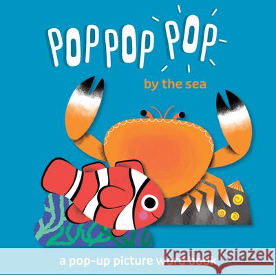 By the Sea G?raldine Cosneau 9781684647538 Kane/Miller Book Publishers - książka