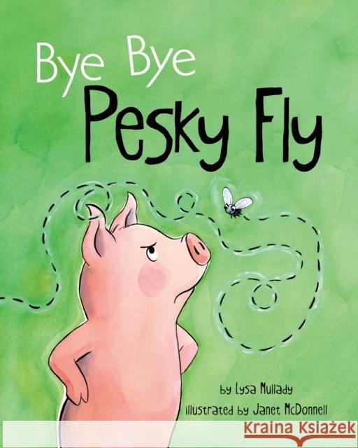 Bye Bye Pesky Fly Lysa Mullady Janet McDonnell 9781433828553 Magination Press - książka