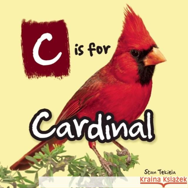 C Is for Cardinal Stan Tekiela 9781591935339 Adventure Publications(MN) - książka