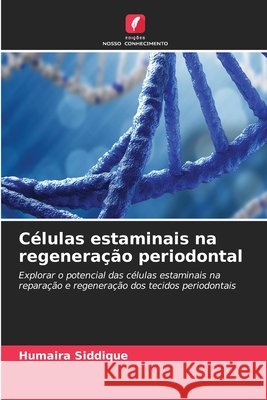 C?lulas estaminais na regenera??o periodontal Humaira Siddique 9786630222272 Edicoes Nosso Conhecimento - książka