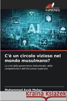 C'è un circolo vizioso nel mondo musulmano? Muhammad Ayub Mehar 9786203131185 Edizioni Sapienza - książka