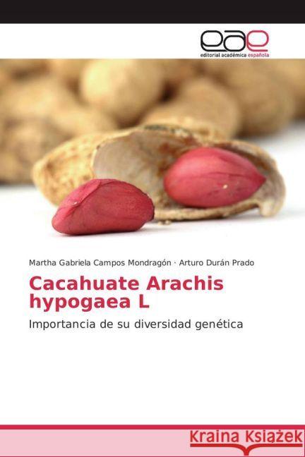 Cacahuate Arachis hypogaea L : Importancia de su diversidad genética Campos Mondragón, Martha Gabriela; Durán Prado, Arturo 9783841764621 Editorial Académica Española - książka