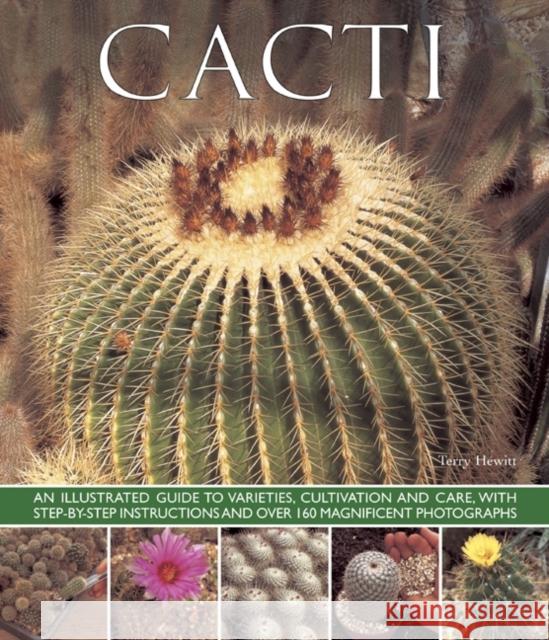 Cacti Terry Hewitt 9781780192840  - książka