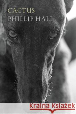 Cactus Phillip Hall 9780648936763 Recent Work Press - książka