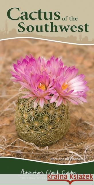 Cactus of the Southwest: Your Way to Easily Identify Cacti Bowers, Nora 9781591935827 Adventure Publications(MN) - książka