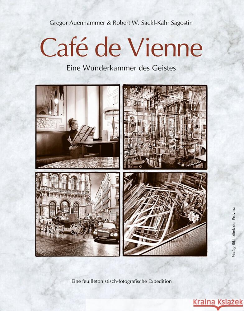 Café de Vienne Auenhammer, Gregor 9783991263685 Bibliothek der Provinz - książka