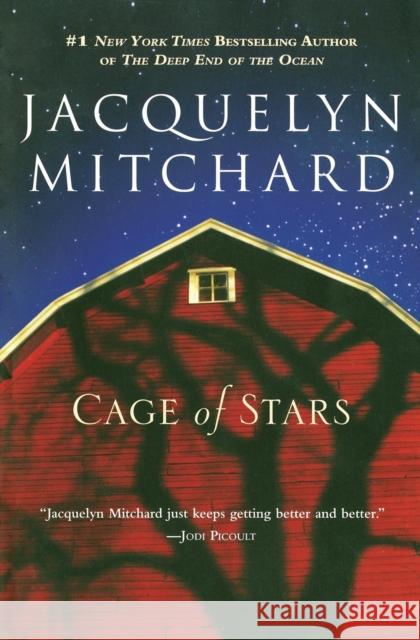 Cage of Stars Jacquelyn Mitchard 9780446696722 Grand Central Publishing - książka