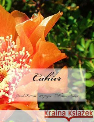 Cahier - Grand Format - 100 pages - Collection Nature: Design Original 8 Joly, Victoria 9781516838066 Createspace - książka