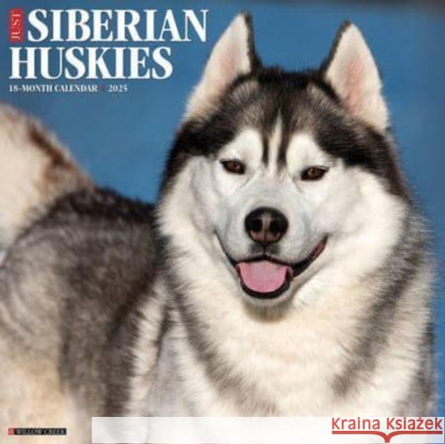 CAL 25 SIBERIAN HUSKIES 2025 WALL WALL 9781549244896 Willow Creek Press Calendars - książka