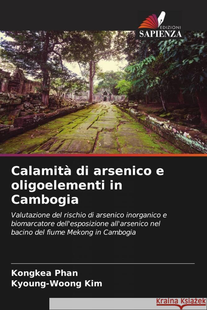 Calamità di arsenico e oligoelementi in Cambogia Phan, Kongkea, Kim, Kyoung-Woong 9786202687225 Edizioni Sapienza - książka