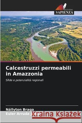 Calcestruzzi permeabili in Amazzonia Nallyton Braga Euler Arruda Junior  9786206027676 Edizioni Sapienza - książka