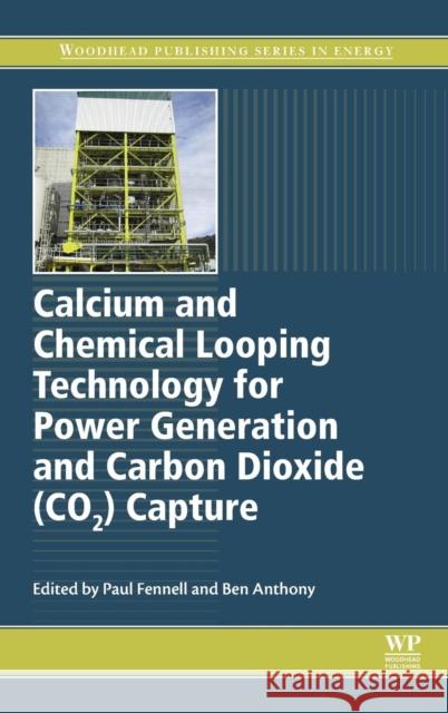 Calcium and Chemical Looping Technology for Power Generation and Carbon Dioxide (Co2) Capture Fennell, Paul 9780857092434 Elsevier Science - książka
