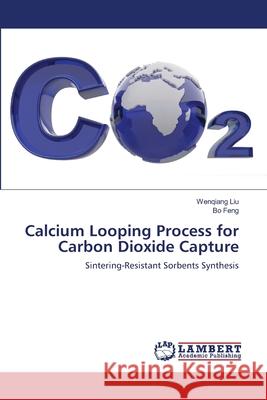 Calcium Looping Process for Carbon Dioxide Capture Wenqiang Liu, Bo Feng 9783659329364 LAP Lambert Academic Publishing - książka