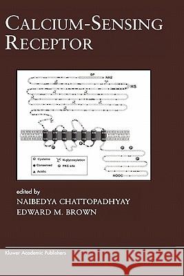 Calcium-Sensing Receptor Naibedya Chattopadhyay Edward M. Brown Naibedya Chattopadhyay 9781402073144 Kluwer Academic Publishers - książka