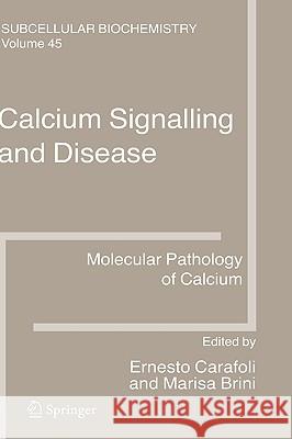 Calcium Signalling and Disease: Molecular Pathology of Calcium Carafoli, Ernesto 9781402061905 Springer London - książka