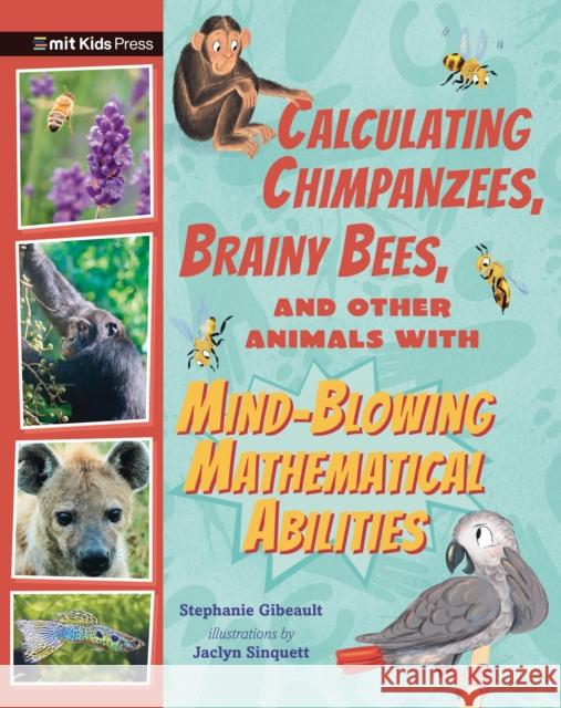 Calculating Chimpanzees, Brainy Bees, and Other Animals with Mind-Blowing Mathematical Abilities Stephanie Gibeault 9781529518139 Walker Books Ltd - książka