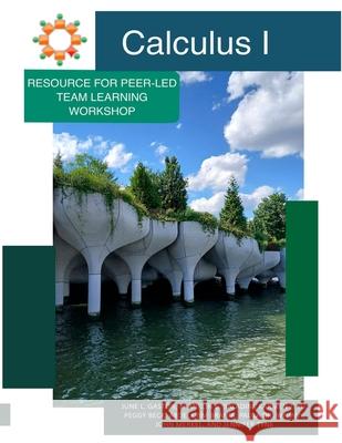 Calculus I June L. Gast?n Franklin G. Saladini Karmen T. Yu 9781944996109 Pltlis Press - książka