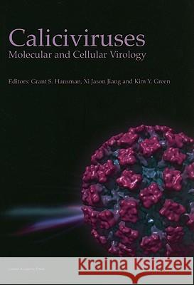 Caliciviruses: Molecular and Cellular Virology  9781904455639 Caister Academic Press - książka