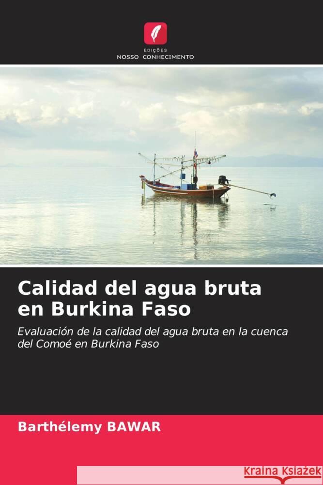 Calidad del agua bruta en Burkina Faso Bawar, Barthélemy 9786206532156 Edições Nosso Conhecimento - książka