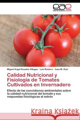 Calidad Nutricional y Fisiología de Tomates Cultivados en Invernadero Rosales Villegas Miguel Ángel 9783844343250 Editorial Academica Espanola - książka