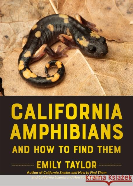 California Amphibians and How to Find Them Emily Taylor 9781597146999 Heyday Books - książka