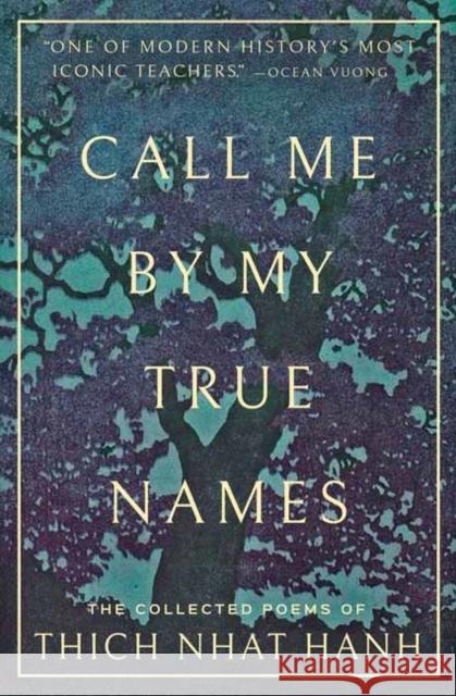 Call Me By My True Names Ocean Vuong 9781952692260 Parallax Press - książka