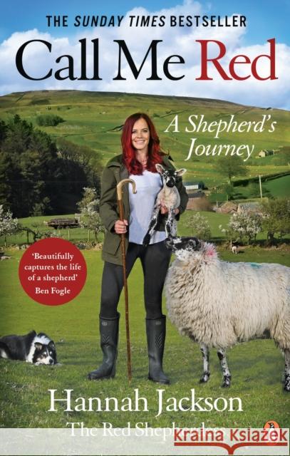 Call Me Red: A shepherd’s journey Hannah Jackson 9781529109122 Ebury Publishing - książka