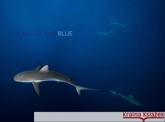 Call of the Blue Philip Hamilton 9781911300519 Paul Holberton Publishing Ltd - książka