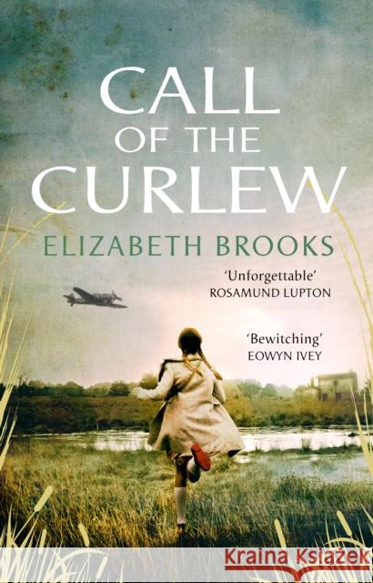 Call of the Curlew Elizabeth Brooks 9781784163495 Transworld Publishers Ltd - książka