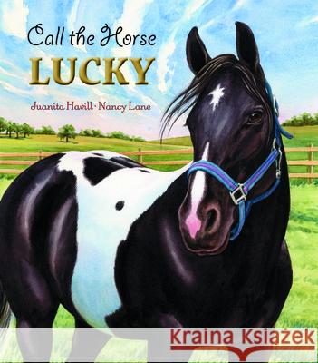 Call the Horse Lucky Juanita Havill Nancy Lane 9780940719101 Gryphon Press - książka