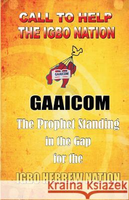 Call To Help The Igbo Nation Madueke, Prayer 9781537104362 Createspace Independent Publishing Platform - książka