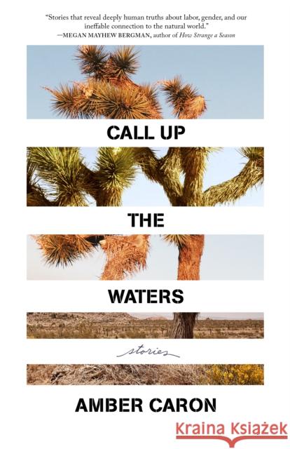 Call Up the Waters: Stories Amber Caron 9781639550449 Milkweed Editions - książka