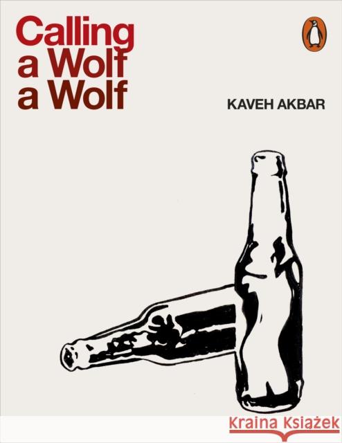 Calling a Wolf a Wolf Akbar, Kaveh 9780141987972 Penguin Books Ltd - książka