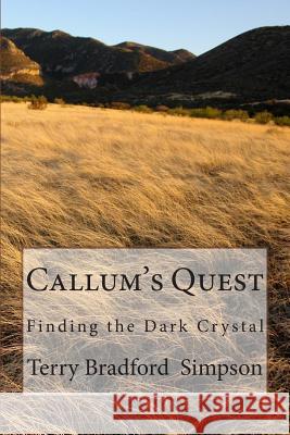 Callum's Quest Terry Simpson 9781483935287 Createspace - książka