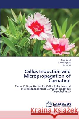 Callus Induction and Micropropagation of Carnation Jamil, Rida 9786139844852 LAP Lambert Academic Publishing - książka